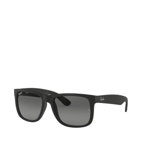 Sunglasses RB4165