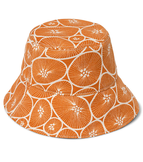 Solhatt Korall