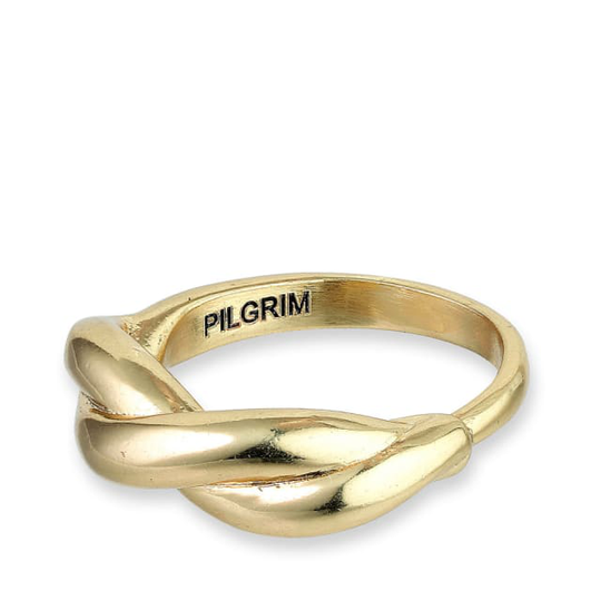 Ring, Skuld